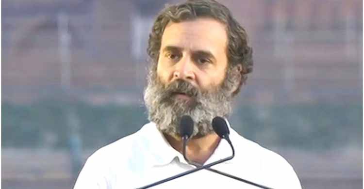 ভারতে ২৪ ঘণ্টাই হিন্দু-মুসলিম বিদ্বেষ ছড়ানো হচ্ছে বললেন রাহুল গান্ধী