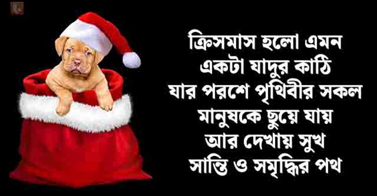 যে কারণে বড়দিন পালিত হয়