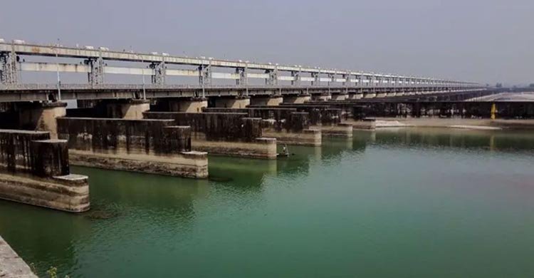 ফারাক্কার ৫০ বছর, বাংলাদেশের নদনদীতে কী প্রভাব পড়েছে?